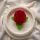 Rose Red