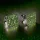 Apple Green Crystal Logic