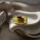 Linea Gold Solid