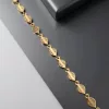 Taller's Gold Solid