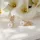 Palm & Pearl Elegant