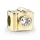 Camera Gold Crystal