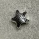 Sea Star Point Mini