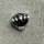 Shell Shine Mini