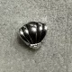 Shell Shine Mini
