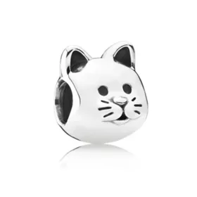 Cat Silver Buble